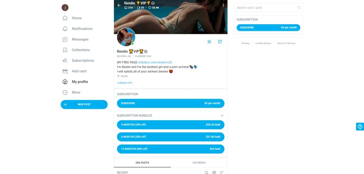 Reislin OnlyFans webpage