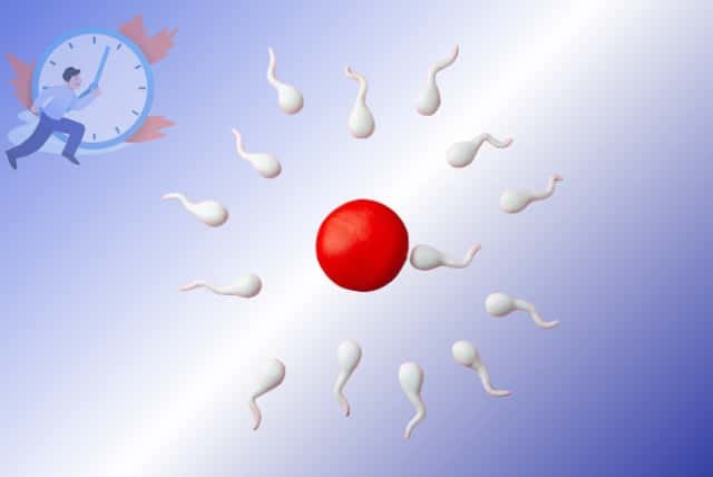 Do you have difficulty prolonging sex